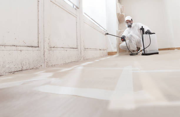 24/7 Emergency Basement Mold Remediation experts in Highland Park, TX
